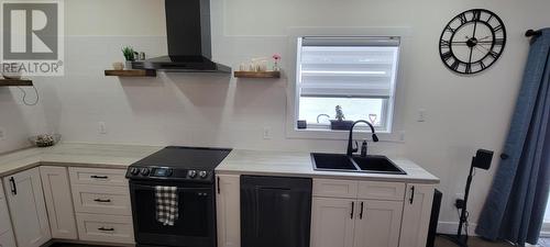 14 Branch Road, Winterland, NL - Indoor Photo Showing Kitchen With Double Sink