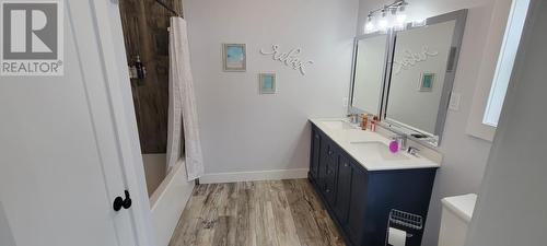 14 Branch Road, Winterland, NL - Indoor Photo Showing Bathroom