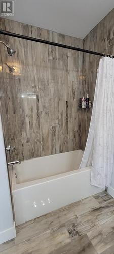 14 Branch Road, Winterland, NL - Indoor Photo Showing Bathroom