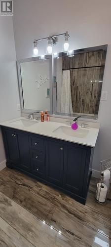 14 Branch Road, Winterland, NL - Indoor Photo Showing Bathroom