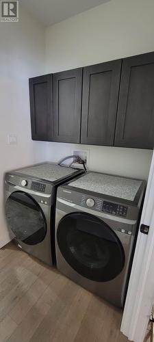 14 Branch Road, Winterland, NL - Indoor Photo Showing Laundry Room