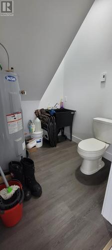 14 Branch Road, Winterland, NL - Indoor Photo Showing Bathroom