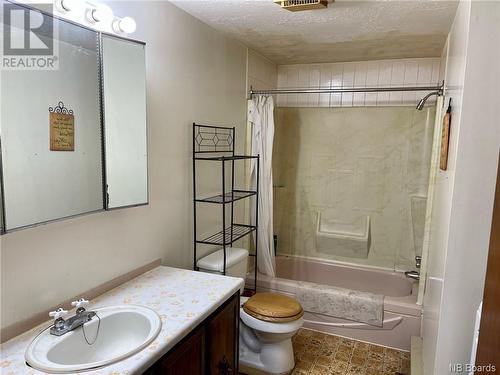 355 Price Road, Drummond, NB - Indoor Photo Showing Bathroom