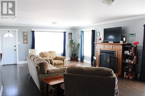 33 Maple Street, Badger, NL - Indoor Photo Showing Living Room With Fireplace