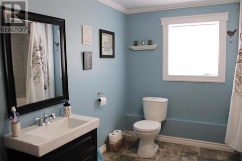 33 Maple Street, Badger, NL - Indoor Photo Showing Bathroom