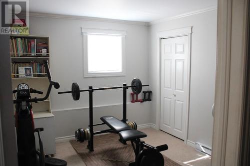 33 Maple Street, Badger, NL - Indoor Photo Showing Gym Room