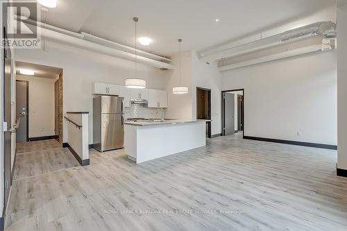 #102 -121 King St E, Hamilton, ON - Indoor Photo Showing Kitchen