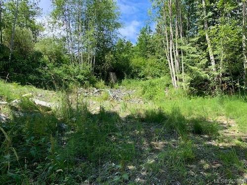 167 River Rd, Lake Cowichan, BC, V0R 2G0 - vacant land for sale 