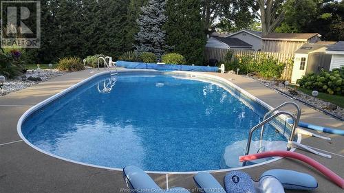 310 Given Road, Harrow, ON - Outdoor With In Ground Pool With Backyard