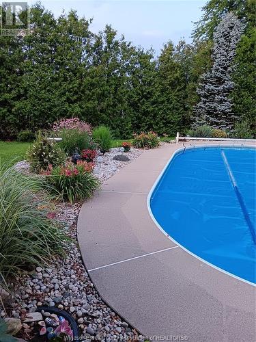 310 Given Road, Harrow, ON - Outdoor With In Ground Pool