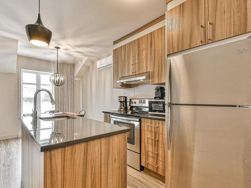 Kitchen - 302-50 Ch. Masson, Sainte-Marguerite-Du-Lac-Masson, QC - Indoor Photo Showing Kitchen