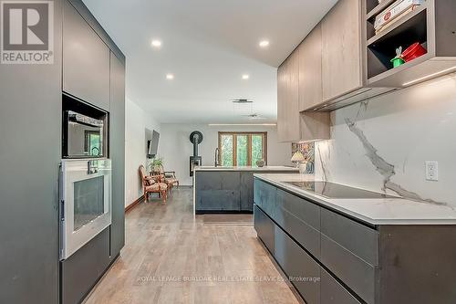 331 Mountsberg Rd, Hamilton, ON - Indoor Photo Showing Kitchen With Upgraded Kitchen
