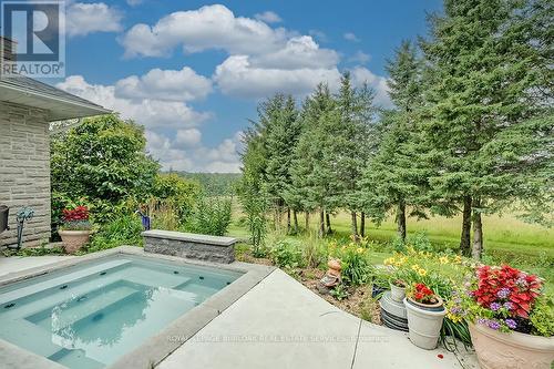 331 Mountsberg Rd, Hamilton, ON - Outdoor With In Ground Pool