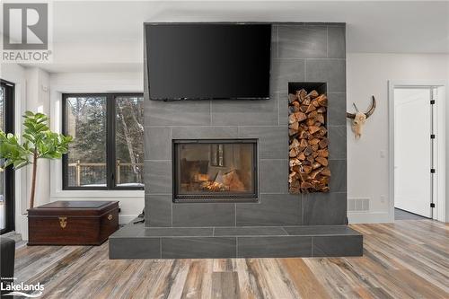 3196 West Shore Road, Haliburton, ON - Indoor Photo Showing Living Room With Fireplace