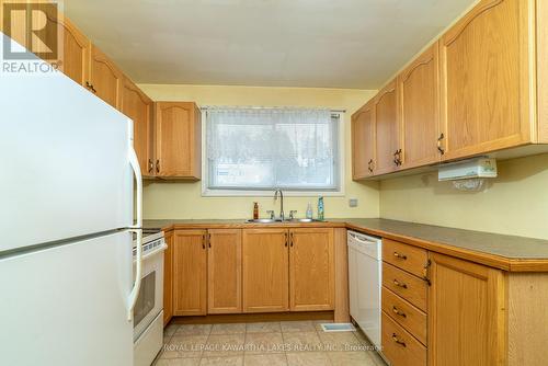 193 Kennedy Bay Rd, Kawartha Lakes, ON - Indoor Photo Showing Kitchen With Double Sink