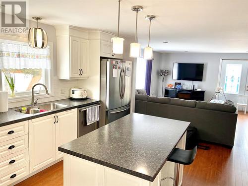 163 Bunyan'S Cove Road, Bunyan'S Cove, NL - Indoor Photo Showing Kitchen With Double Sink With Upgraded Kitchen
