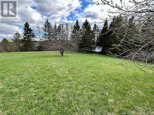 124 Francoeur Hill Road, New Denmark, NB - Outdoor With View