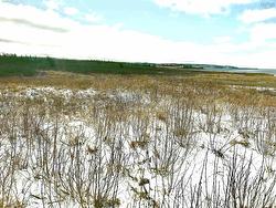 Lot SR-2C Sunset Road  Meteghan River, NS B0W 2L0