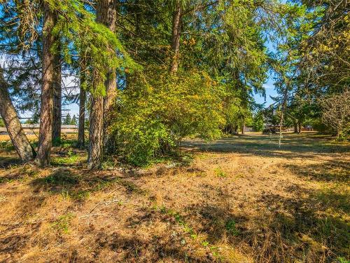 353 Moilliet St South, Parksville, BC - Outdoor With View