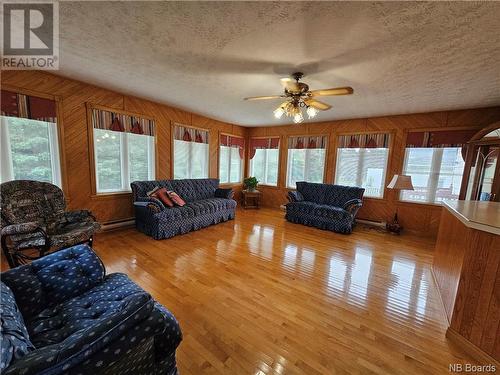 233 Reservoir Street, Grand Falls, NB - Indoor Photo Showing Living Room