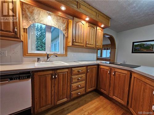 233 Reservoir Street, Grand Falls, NB - Indoor Photo Showing Kitchen With Double Sink