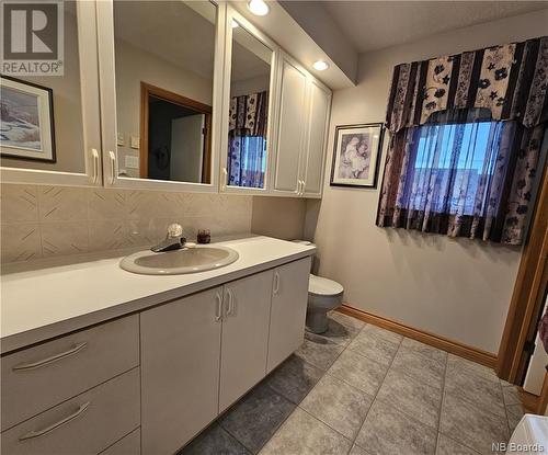 233 Reservoir Street, Grand Falls, NB - Indoor Photo Showing Bathroom
