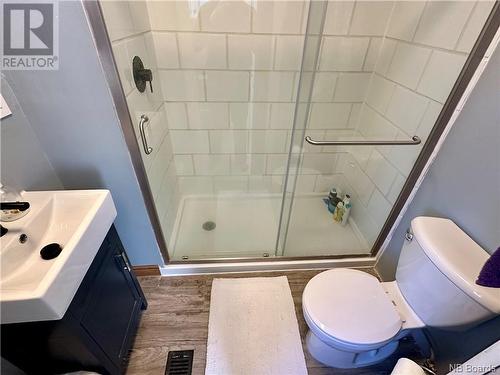 259 Main Street, Plaster Rock, NB - Indoor Photo Showing Bathroom