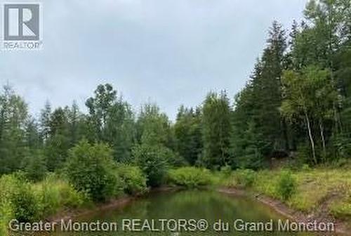 414 Hillside Dr, Elgin, NB - Outdoor With View