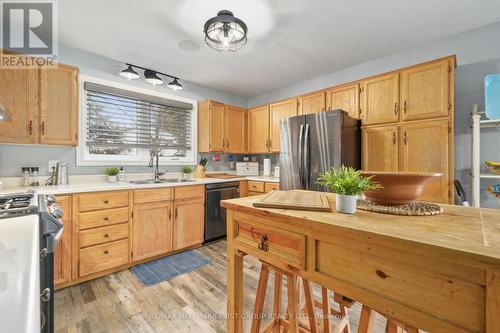 177 Clitheroe Road, Alnwick/Haldimand, ON - Indoor Photo Showing Kitchen With Double Sink