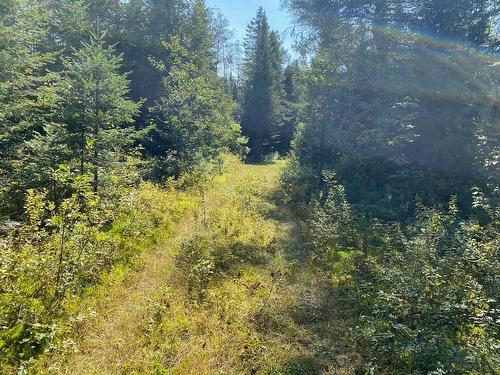 Other - Ch. Du Lac-Quenouille, Lac-Supérieur, QC 