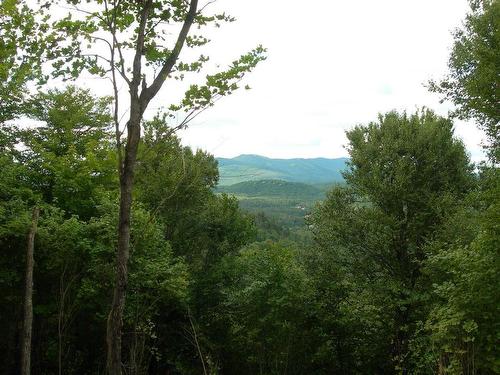 View - Ch. Du Lac-Quenouille, Lac-Supérieur, QC 