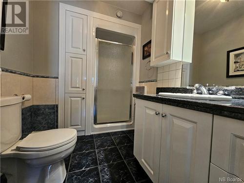 601 Main Street, Grand Falls, NB - Indoor Photo Showing Bathroom
