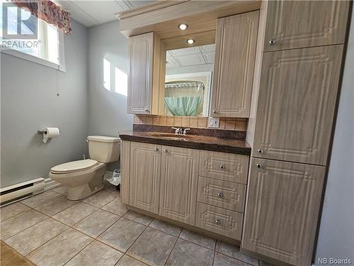 601 Main Street, Grand Falls, NB - Indoor Photo Showing Bathroom