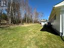 17-19 Riverview Place, Deer Lake, NL  - Outdoor 