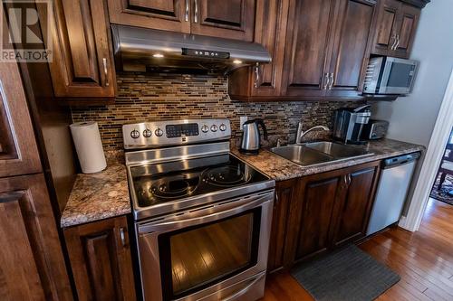 17-19 Riverview Place, Deer Lake, NL - Indoor Photo Showing Kitchen With Double Sink