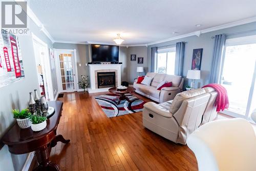 17-19 Riverview Place, Deer Lake, NL - Indoor Photo Showing Living Room With Fireplace
