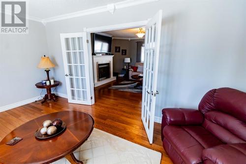 17-19 Riverview Place, Deer Lake, NL - Indoor With Fireplace