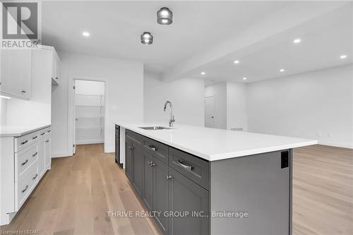 1537 Wright Cres, London, ON - Indoor Photo Showing Kitchen