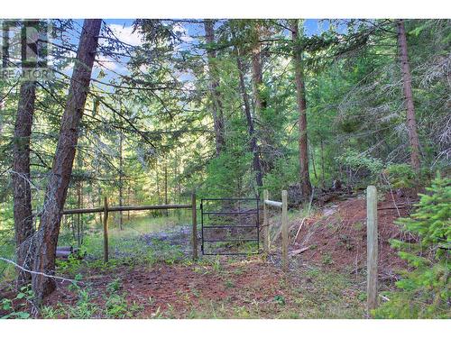 5476 Canim-Hendrix Lake Road, 100 Mile House, BC - Outdoor With View