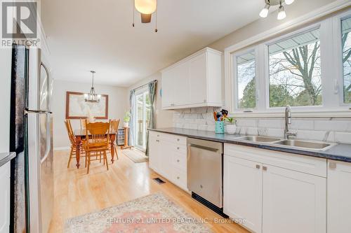 2974 Antelope Tr, Smith-Ennismore-Lakefield, ON - Indoor Photo Showing Kitchen With Double Sink