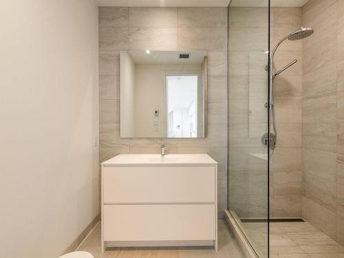 Bathroom - 110-900Z Rue André-Prévost, Montréal (Verdun/Île-Des-Soeurs), QC - Indoor Photo Showing Bathroom