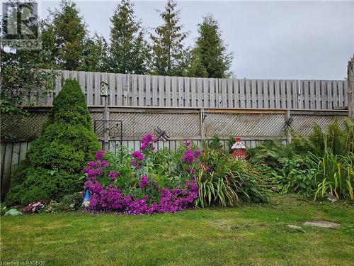 Extensive perennial gardens designed with love - 49 Queen Street E, Hepworth, ON - Outdoor