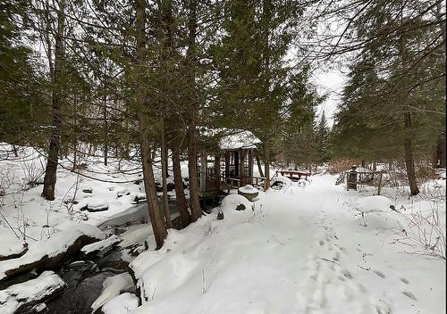 Wooded area - 7 Ch. Hill, Hatley - Canton, QC - Outdoor