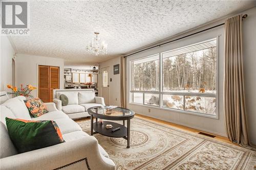 701 Smaglinski Stoppa Parkway, Wilno, ON - Indoor Photo Showing Living Room