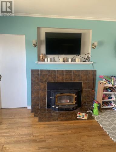84 Steve Neary Boulevard, Wabana, NL - Indoor Photo Showing Living Room With Fireplace