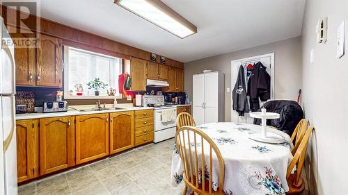 27 Tree Top Drive, St. John'S, NL - Indoor Photo Showing Kitchen With Double Sink