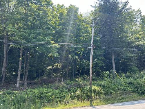 Land/Lot - 560 Route Principale, Val-Des-Monts, QC 