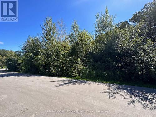 Lot 32 Twmarc Ave, Brock, ON 