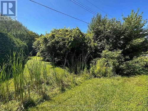 Lot 32 Twmarc Avenue, Brock, ON 