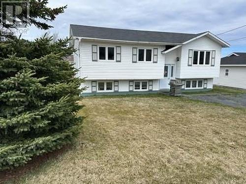 34 Earles Lane, Carbonear, NL - Indoor With Fireplace